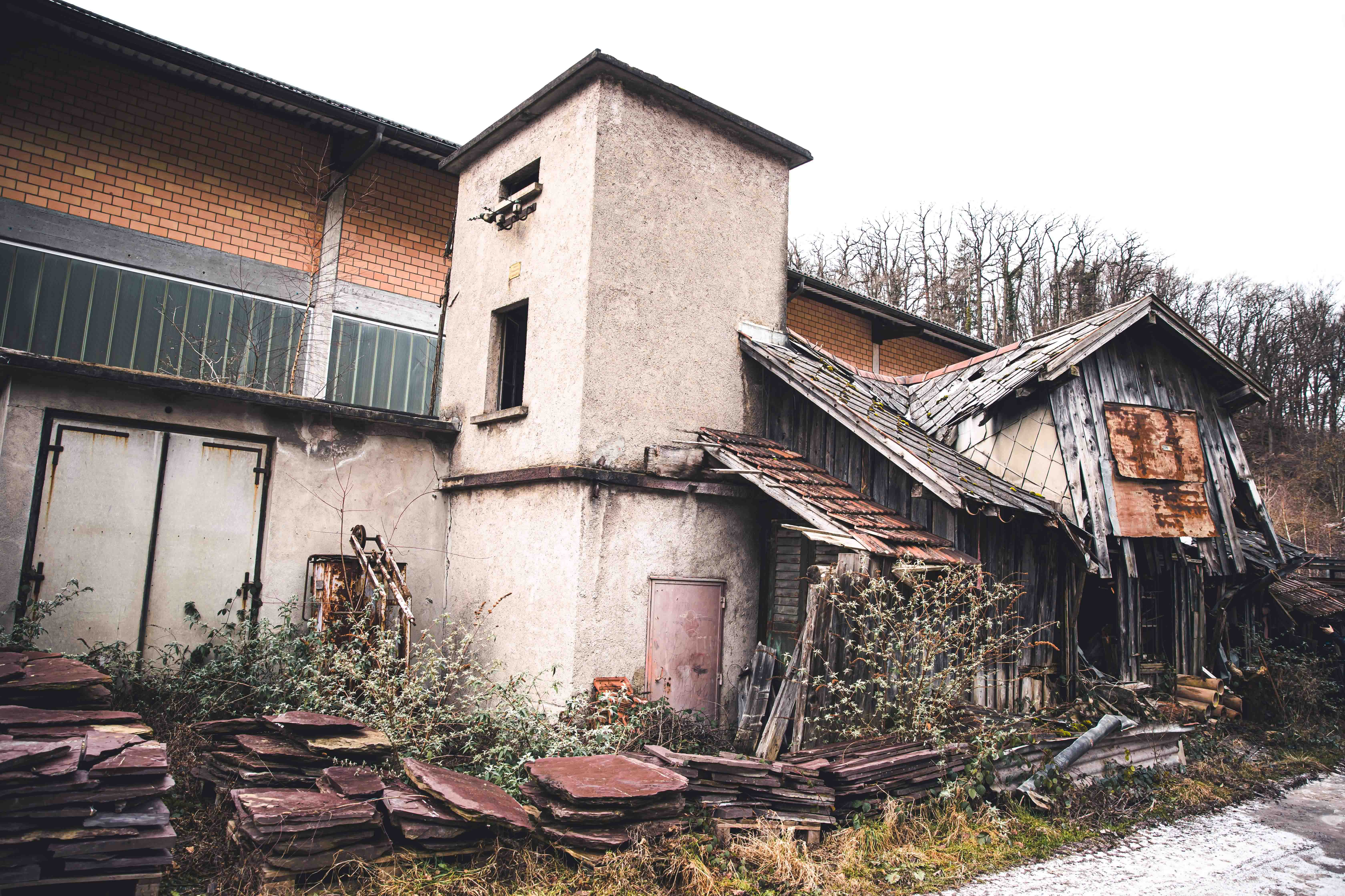 «Oh, Darling...» – Vernissage